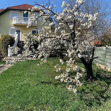 Pensiune Haus Kristina 3*