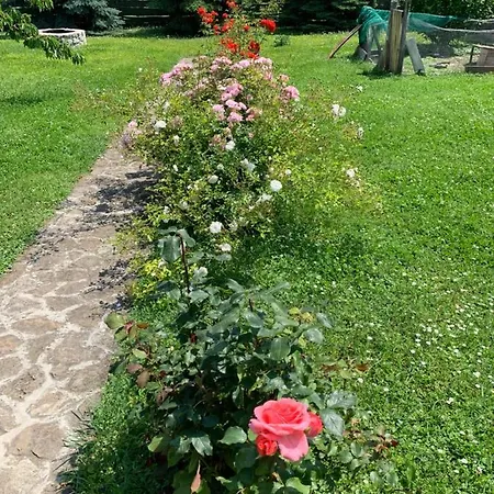 Haus Kristina Πανσιόν 3*