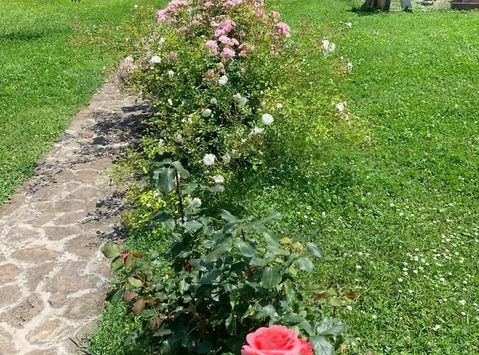 Haus Kristina بيت ضيافة 3*